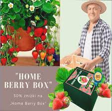 Home Berry Box   - zkušenosti - jak to funguje? - dávkování - složení