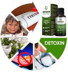 Detoxin - výsledky - diskuze - recenze - forum 